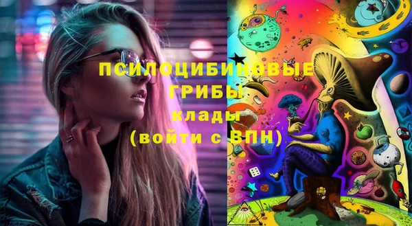 стафф Армянск