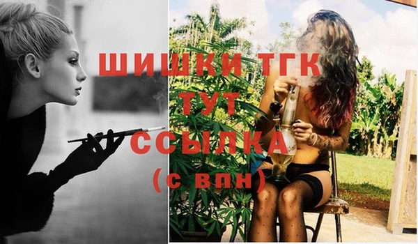 спиды Аркадак