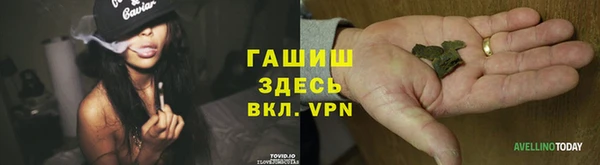 стафф Армянск