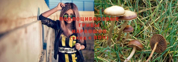 стафф Армянск