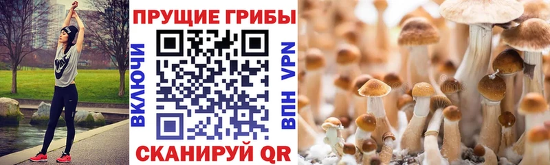 Псилоцибиновые грибы мухоморы  Магас 